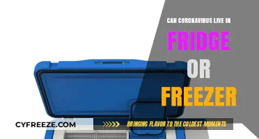 Chilling Facts: Can Coronavirus Survive in Your Fridge or Freezer?