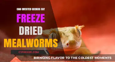 Can Crested Geckos Eat Freeze-Dried Mealworms? A Complete Guide