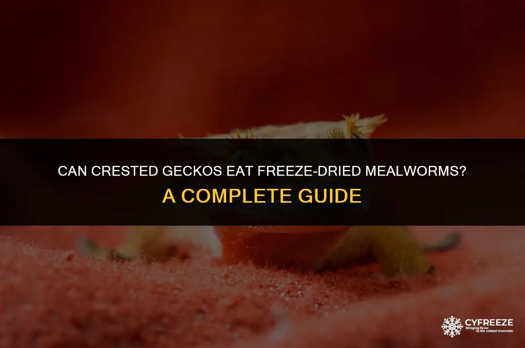 can crested geckos eat freeze dried mealworms