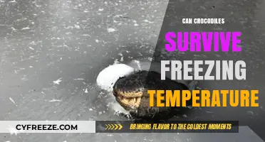Can Crocodiles Endure Freezing Temperatures? Unveiling Their Survival Secrets