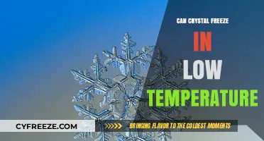 Can Crystals Freeze in Low Temperatures? Exploring Solidification Science