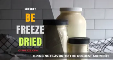 Exploring the Possibilities: Can Dairy Be Freeze-Dried?