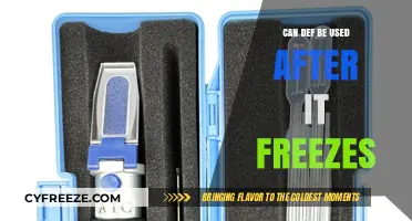 Can Def Still Be Used After Freezing? Expert Insights and Tips