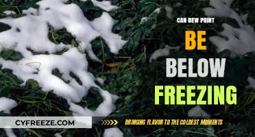 Can Dew Point Drop Below Freezing? Exploring Atmospheric Conditions