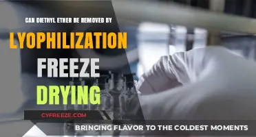 Efficient Removal of Diethyl Ether through Lyophilization: A Comprehensive Guide