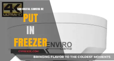 Chilling Cameras: Can Your Digital Camera Survive the Freezer?