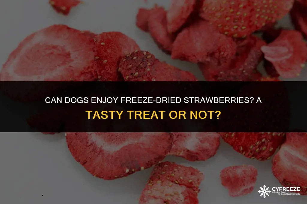 can digs eat freeze dried strawberries
