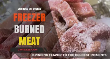 Can Dogs Eat Cooked Freezer Burned Meat? A Complete Guide