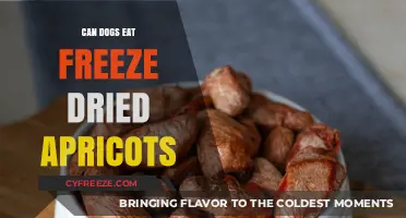 Can Dogs Eat Freeze-Dried Apricots? A Complete Guide