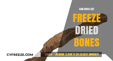 Can Dogs Eat Freeze-Dried Bones? A Comprehensive Guide for Pet Owners