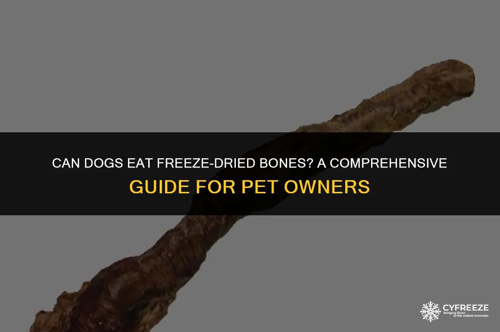 can dogs eat freeze dried bones
