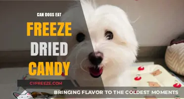 Can Dogs Eat Freeze-Dried Candy? A Comprehensive Guide for Pet Owners