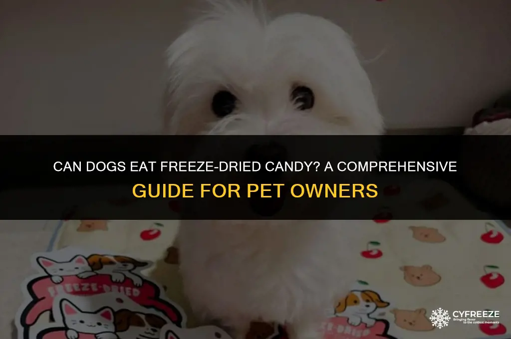 can dogs eat freeze dried candy