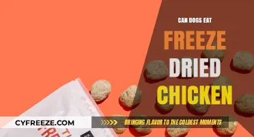 Can Dogs Eat Freeze-Dried Chicken? A Complete Guide for Pet Owners