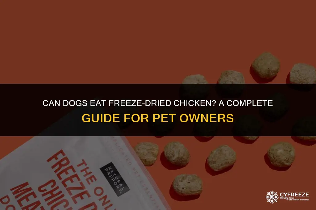 can dogs eat freeze dried chicken