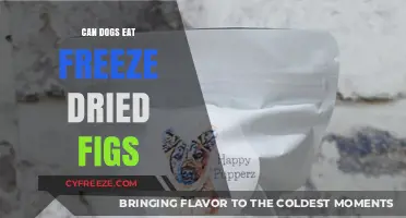 Exploring Canine Diets: Are Freeze-Dried Figs Safe for Dogs?