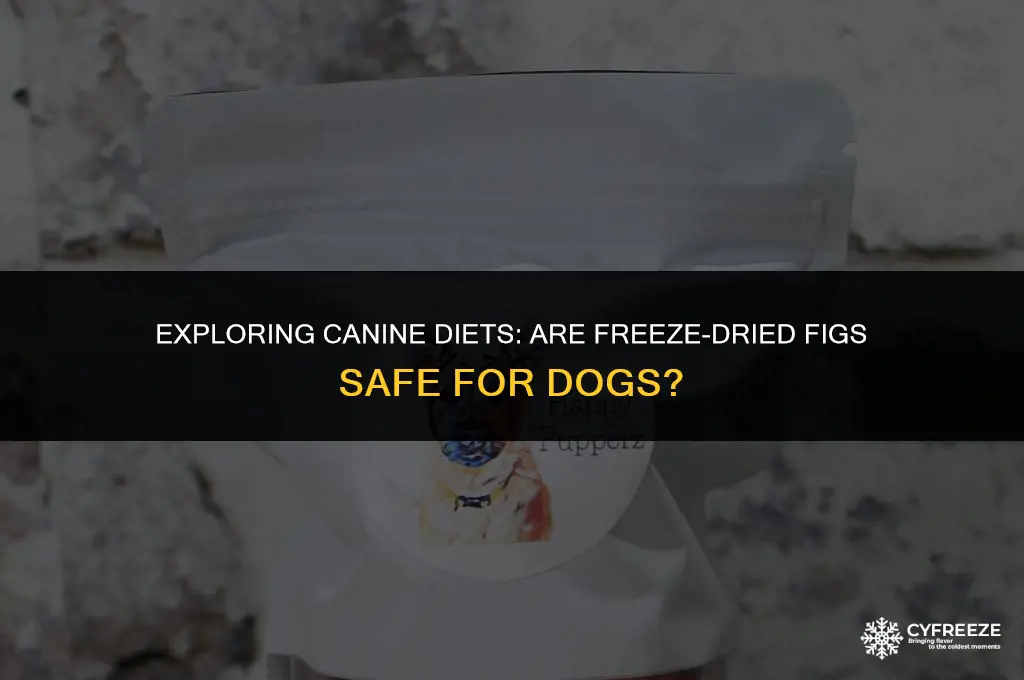 can dogs eat freeze dried figs