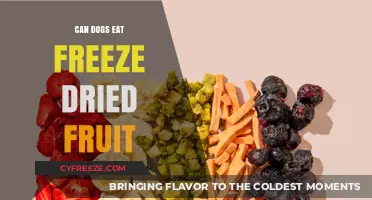 Can Dogs Eat Freeze-Dried Fruit? A Comprehensive Guide for Pet Owners