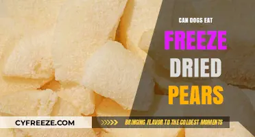 Can Dogs Enjoy Freeze-Dried Pears? A Nutritional Guide for Pet Owners