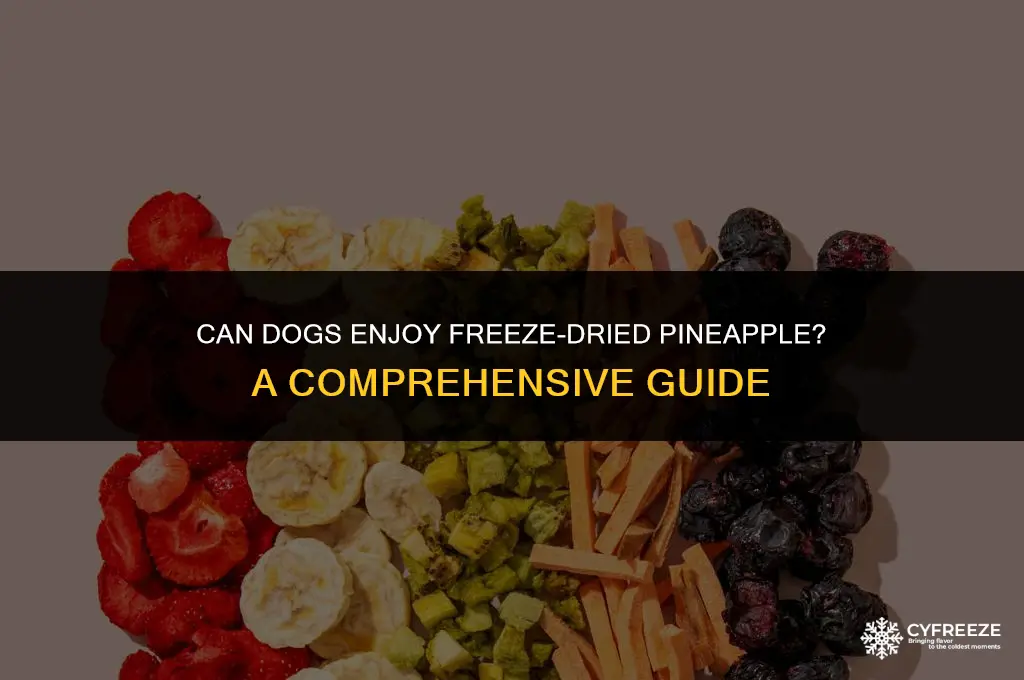 can dogs eat freeze dried pineapple