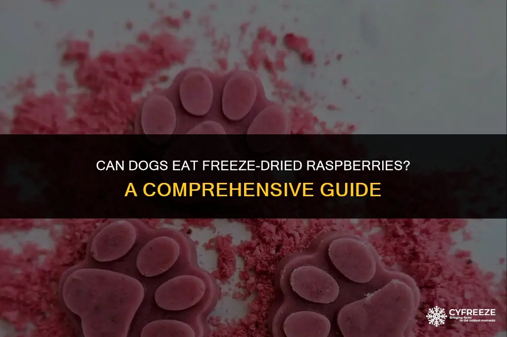 can dogs eat freeze dried raspberries