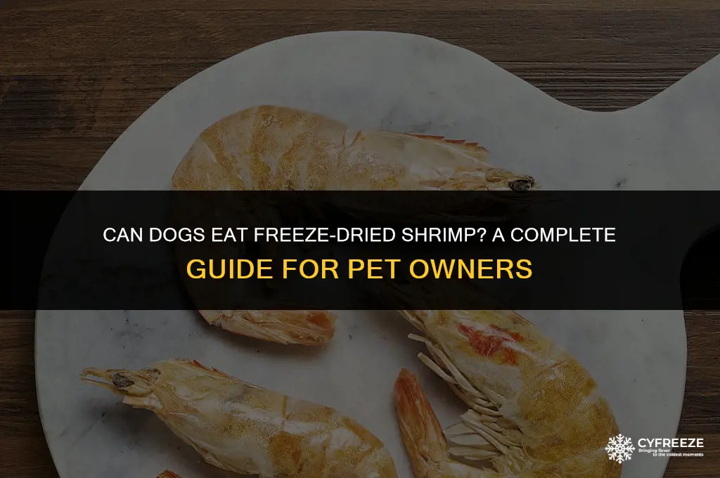 can dogs eat freeze dried shrimp