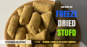 Can Dogs Eat Freeze-Dried Food? A Comprehensive Guide for Pet Owners