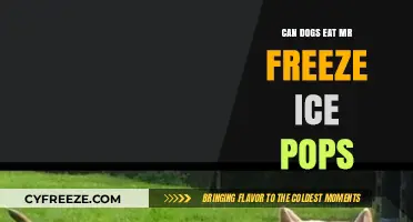 Chilling Treats: Are Mr. Freeze Ice Pops Safe for Dogs?