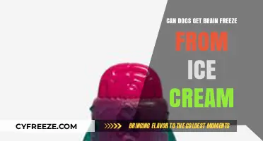 Chilling Treats: Can Dogs Really Get Brain Freeze from Ice Cream?