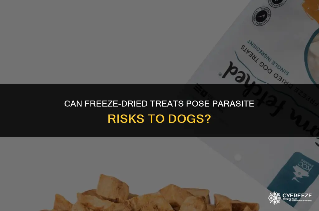 can dogs get parasite from freeze dried treats