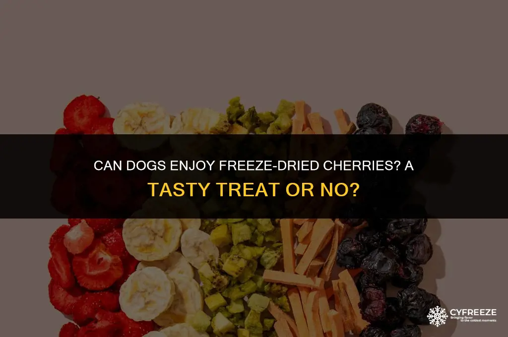 can dogs have freeze dried cherries