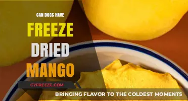 Can Dogs Enjoy Freeze-Dried Mango? A Nutritional Guide for Pet Owners