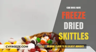Can Dogs Enjoy Freeze-Dried Skittles? A Tasty Treat or a No-No?