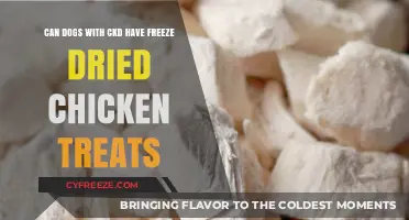 Can Dogs with CKD Enjoy Freeze-Dried Chicken Treats?