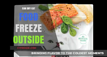 Exploring the Effects of Freezing on Dry Cat Food Outdoors