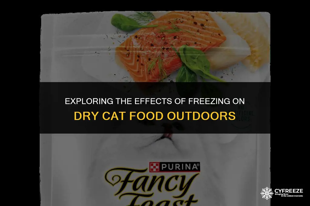 can dry cat food freeze outside