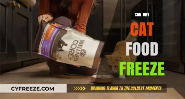 Exploring the Freeze: Can Dry Cat Food Be Frozen?