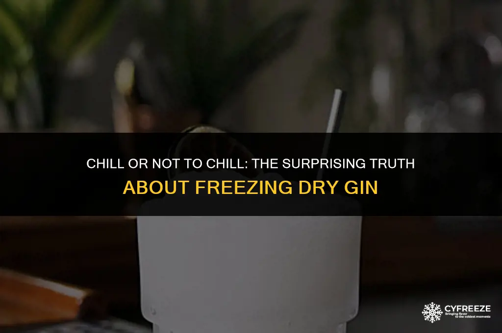 can dry gin freeze