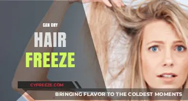Can Dry Hair Freeze? Exploring the Science Behind Winter Hair Woes