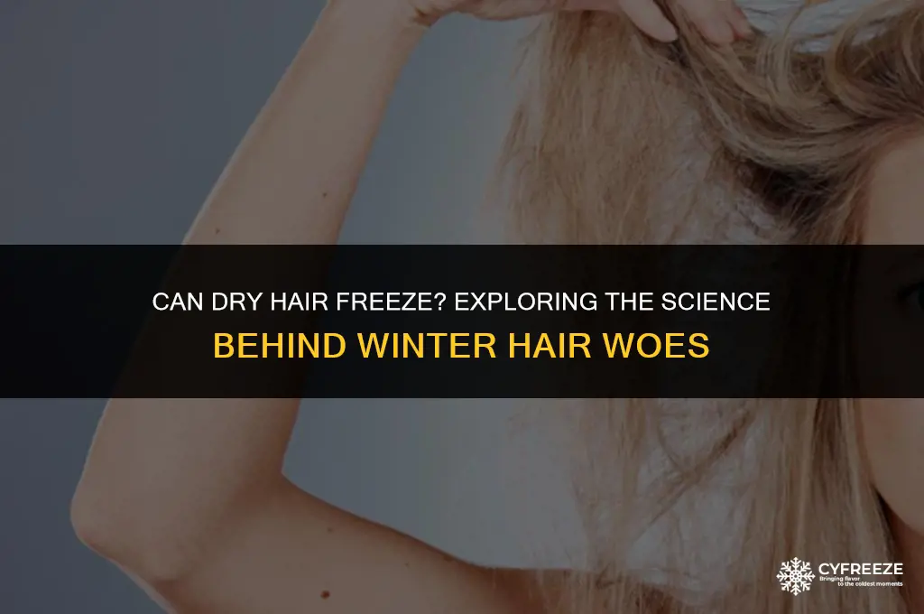 can dry hair freeze