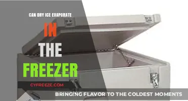 The Surprising Truth About Dry Ice in Your Freezer