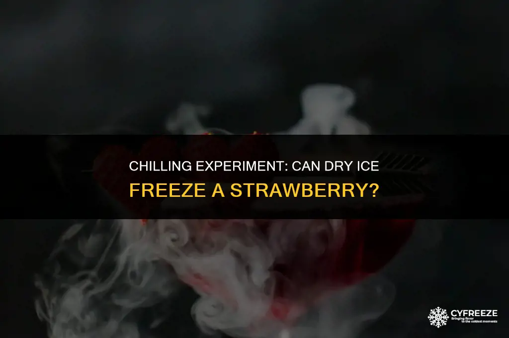 can dry ice freeze a strawberry