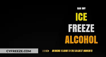 Chilling Experiments: Can Dry Ice Freeze Your Favorite Alcohol?