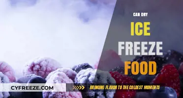 Chilling Facts: Can Dry Ice Really Freeze Your Food?