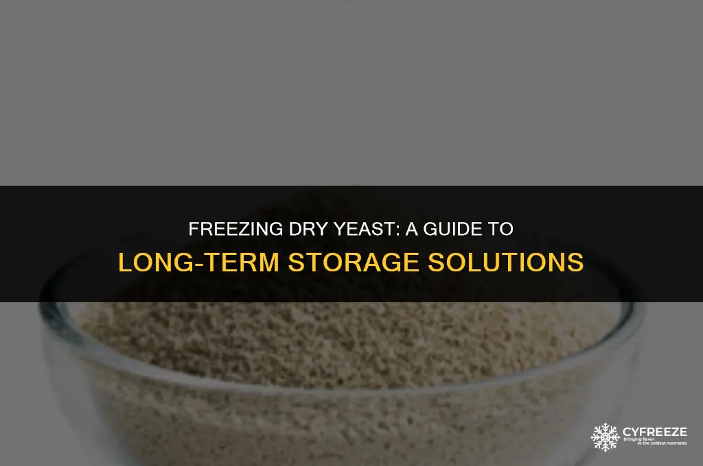 can dry yeast be stored in the freezer