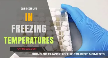 Can E. Coli Survive in Freezing Temperatures? Facts Revealed