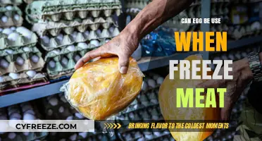 Using Eggs to Safeguard Frozen Meat: Tips and Best Practices