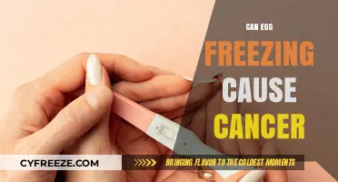 Egg Freezing and Cancer Risk: Separating Fact from Fiction