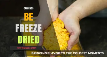 The Surprising Truth About Freeze-Drying Eggs: A Complete Guide