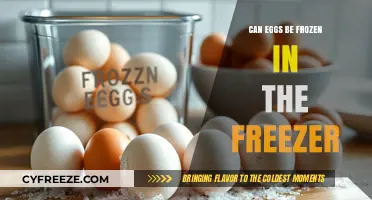 Can Eggs Be Frozen? A Guide to Freezing Eggs Safely